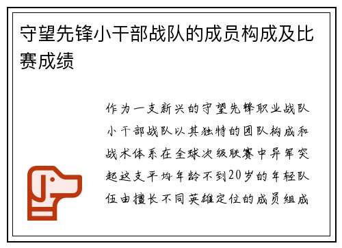 守望先锋小干部战队的成员构成及比赛成绩